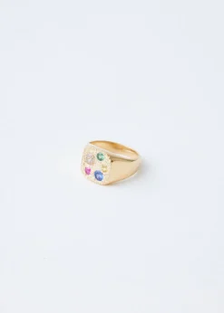 Hanging Basket Signet Ring