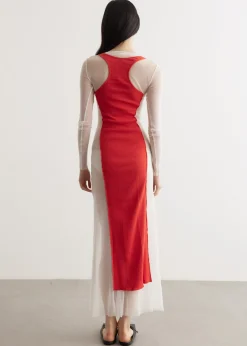 Mesh Long Dress With Rib