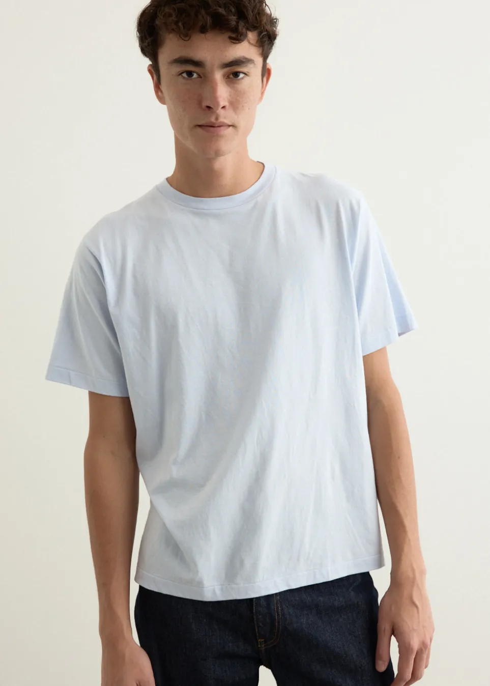 Natural Hydragea Dye T-Shirt