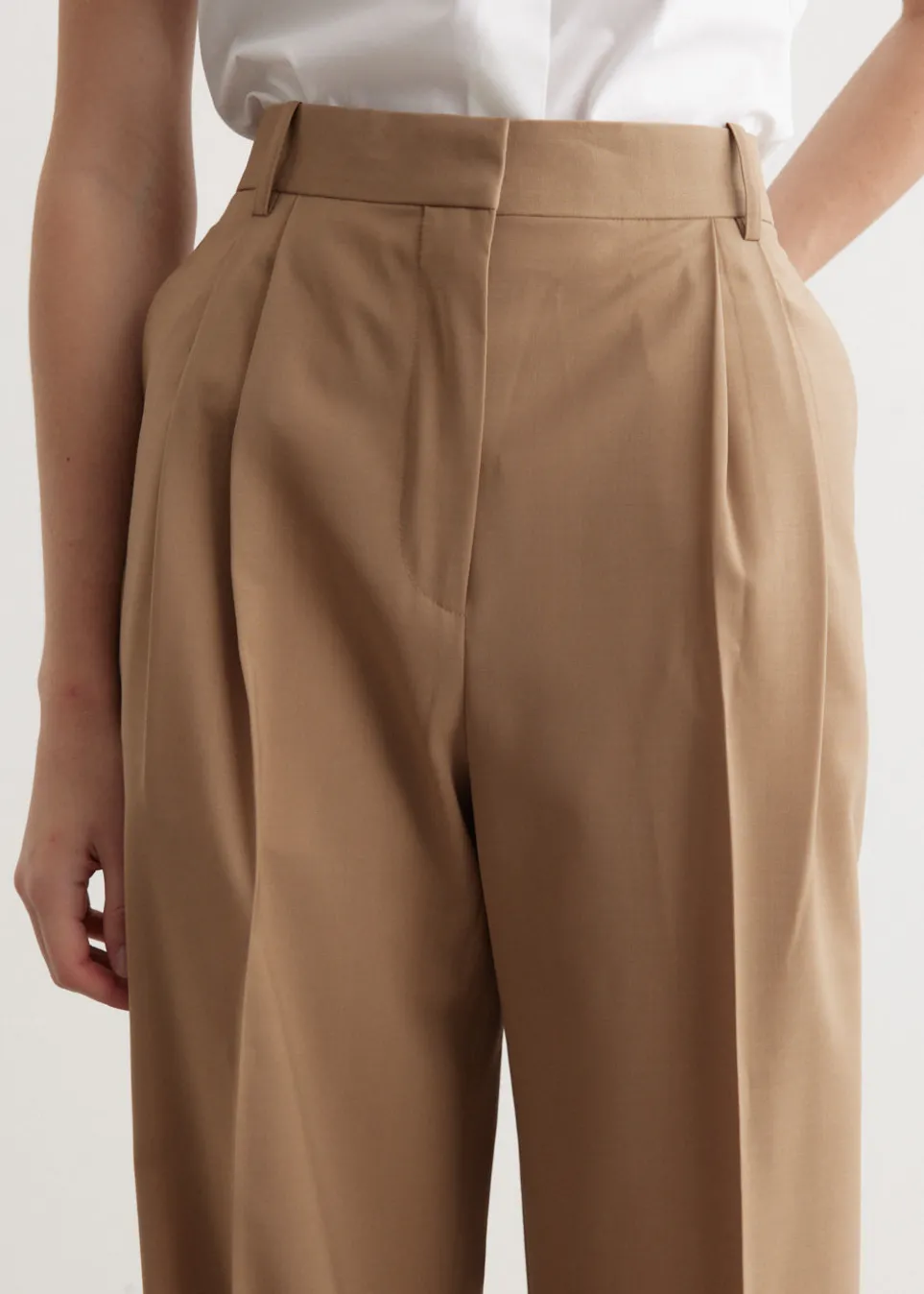 Wide Leg Pleated Trousers
