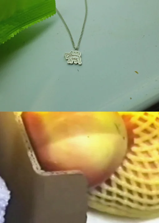 Aries Pendant