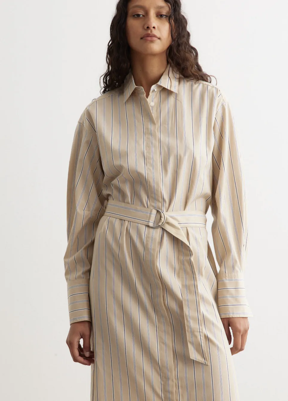 Briar Stripe Poplin Dress