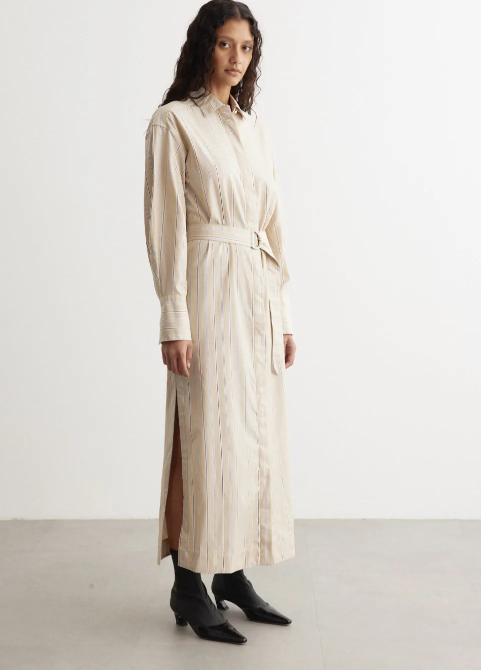 Briar Stripe Poplin Dress