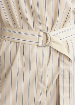 Briar Stripe Poplin Dress