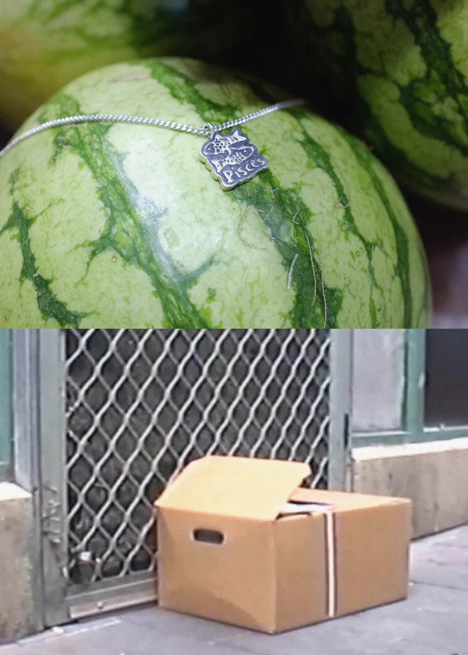 Pisces Pendant